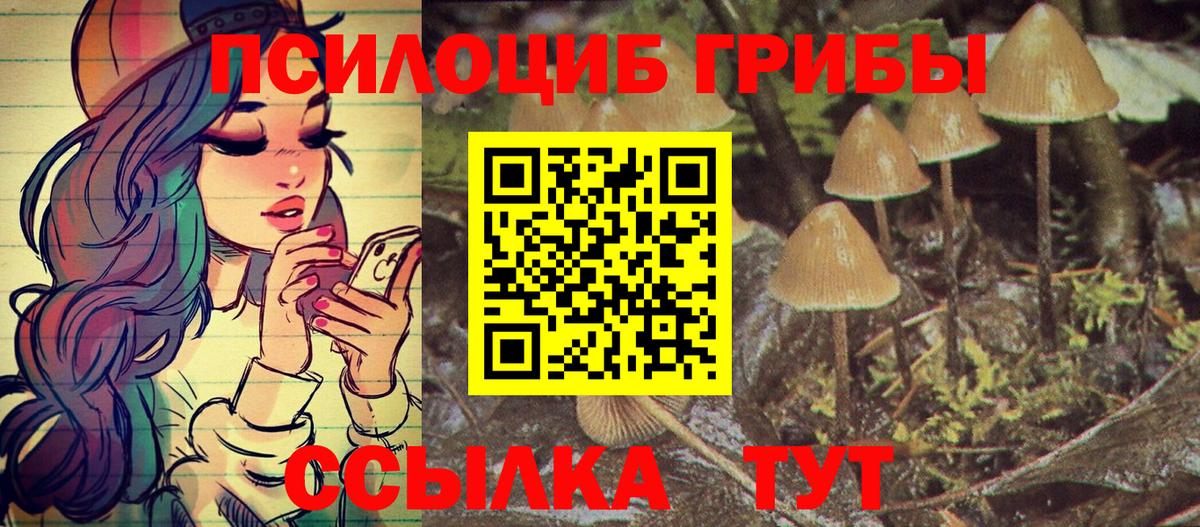 Галлюциногенные грибы прущие грибы Королёв