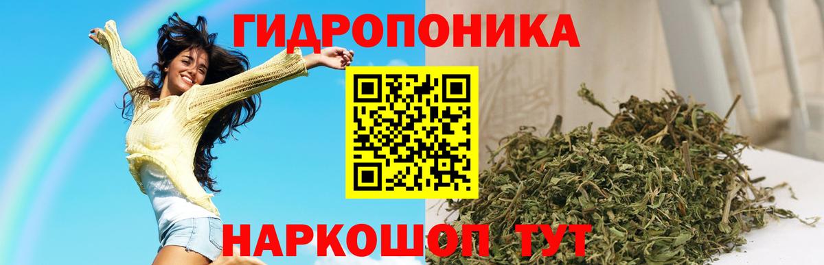 Конопля White Widow Королёв